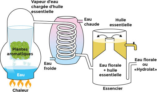 hydrolatherapie